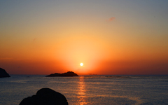 <span>杨泗学—学科带头人</span>