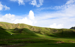 <span>赵芷昕—主治医师</span>