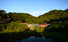 <span>李思进—主治医师</span>